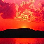 Foto del perfil de Alicia