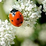 Foto del perfil de NURIA