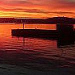 Foto del perfil de GUSTAVO ADOLFO