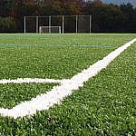 Foto del perfil de Reyes