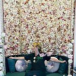 Foto del perfil de ENBA78