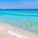 Foto del perfil de Guti