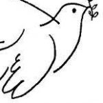 Foto del perfil de Iria