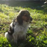 Foto del perfil de Jesús