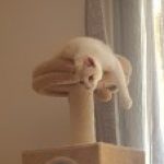 Foto del perfil de Carmen Luz