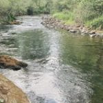 Foto del perfil de Carlos José